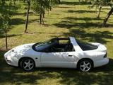 Pontiac Firebird Automatic - - Pontiac Firebird Benziner Gebrauchtwagen