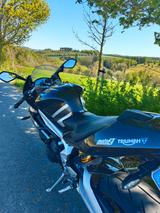 Triumph Daytona Moto2 765 - TRIUMPH DAYTONA 765 MOTO2