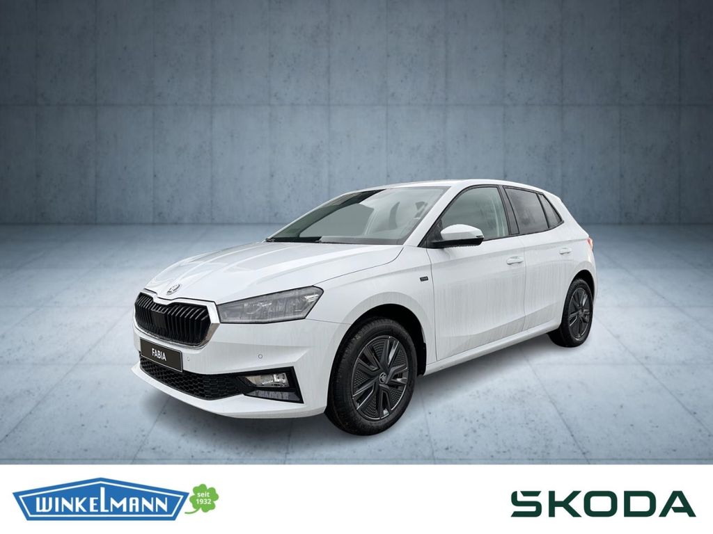 Fabia Tour LED GRA KAMERA SHZ PDC SMART LINK