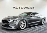 Ford Mustang GT*20 ZOLL SHELBY*KAMERA*B&O* - Ford Mustang Gebrauchtwagen in Wuppertal