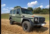 Mercedes-Benz G 280 CDI Professional Pur Greenliner - Mercedes-Benz Professional