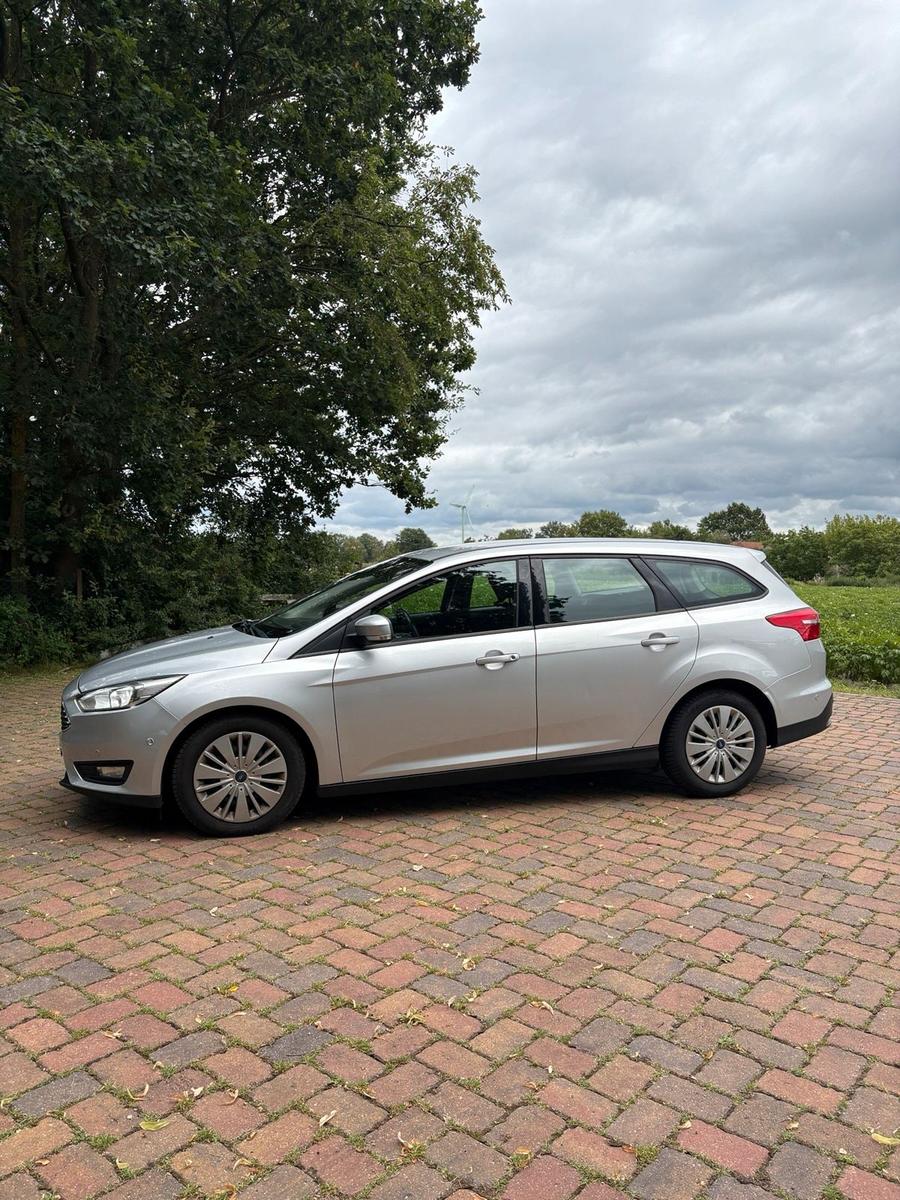 Ford Focus 2015 — rear view