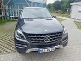Mercedes-Benz ML 250 BlueTEC 4MATIC - - graue Mercedes-Benz ML 250