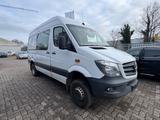 Mercedes-Benz Sprinter II Kasten 516 CDI 4X4 - Mercedes-Benz Sprinter mit Diesel-Antrieb: Geländewagen
