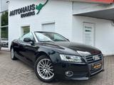 Audi A5 Cabriolet 2.0 TFSI/LEDER/NAVI/SHZ/TEMP/PDC - gebrauchte Audi bis 25.000 Euro