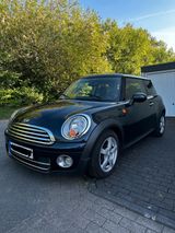MINI Mini Cooper D 1.6 Diesel mit Panoramadach ... - MINI MINI mit Diesel-Antrieb: 1.6