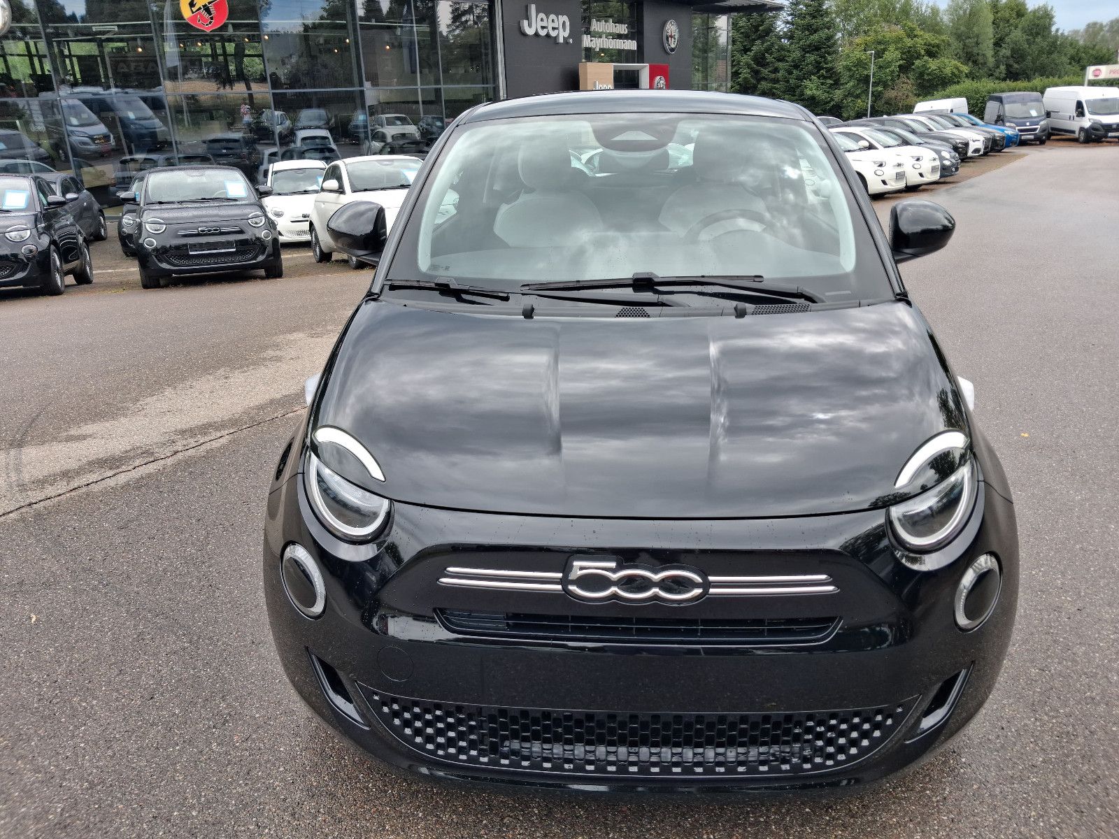 Fahrzeugabbildung Fiat 500 1.0 Hybrid FireFly 48 kW Icon