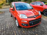 Fiat Panda - Fiat Panda in Chemnitz