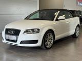 Audi A3 Cabriolet Attraction PDC/SHZ/BOSE/Leder/18" - Audi A3 in Köln