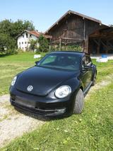 Volkswagen Beetle - VW New Beetle von privat
