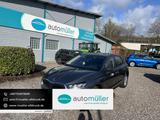 Skoda Fabia Selection Android Auto Metallic - Skoda Fabia mit Benzin-Antrieb: Metallic