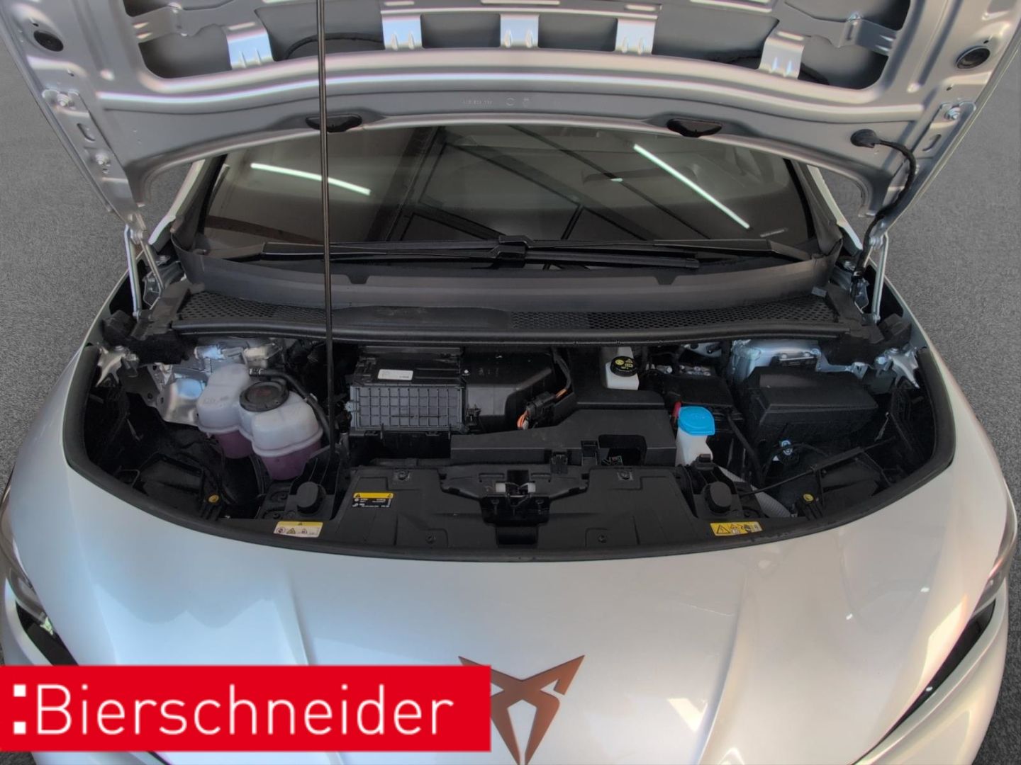 Cupra Born - Bild 26