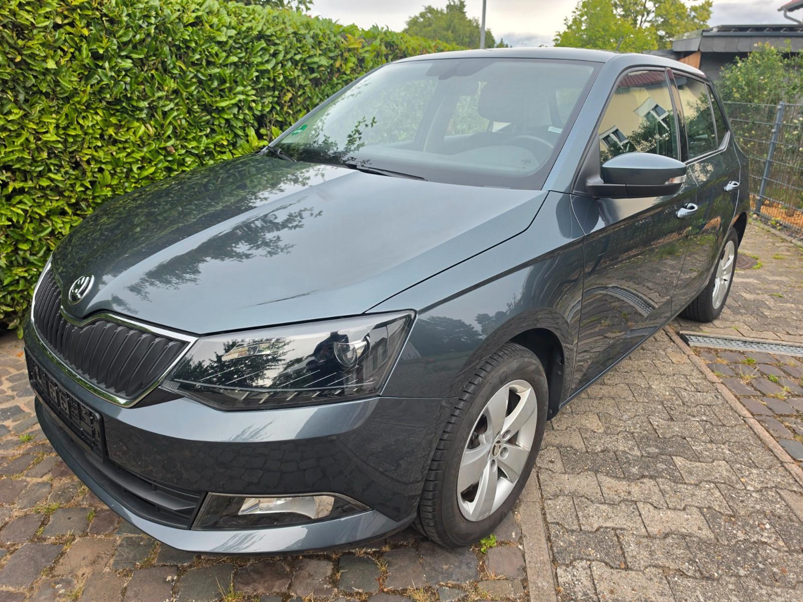 Skoda Fabia Style 1.0 TSI Tempo Klimaaut Shz AHK 8-fac