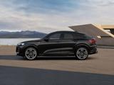 Audi Q5 Sportback TDI quattro 220 kW S tronic (ab 08. - Audi Q5 mit Diesel-Antrieb: Ambiente-Beleuchtung