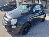 Fiat 500 Cabrio 1.2Ltr-51kW(69PS) Sport - Fiat mit Benzin-Antrieb: Cabrio, Sport
