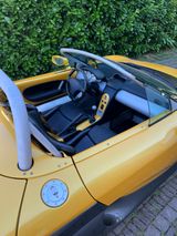 Renault Spider mit Frontscheibe  - Renault Spider mit Benzin-Antrieb