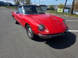 Alfa Romeo Spider - Alfa Romeo Gebrauchtwagen von 1977