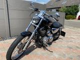 Harley-Davidson XL2 1200 Costom Sportster - HARLEY-DAVIDSON 2005 SPORTSTER 1200