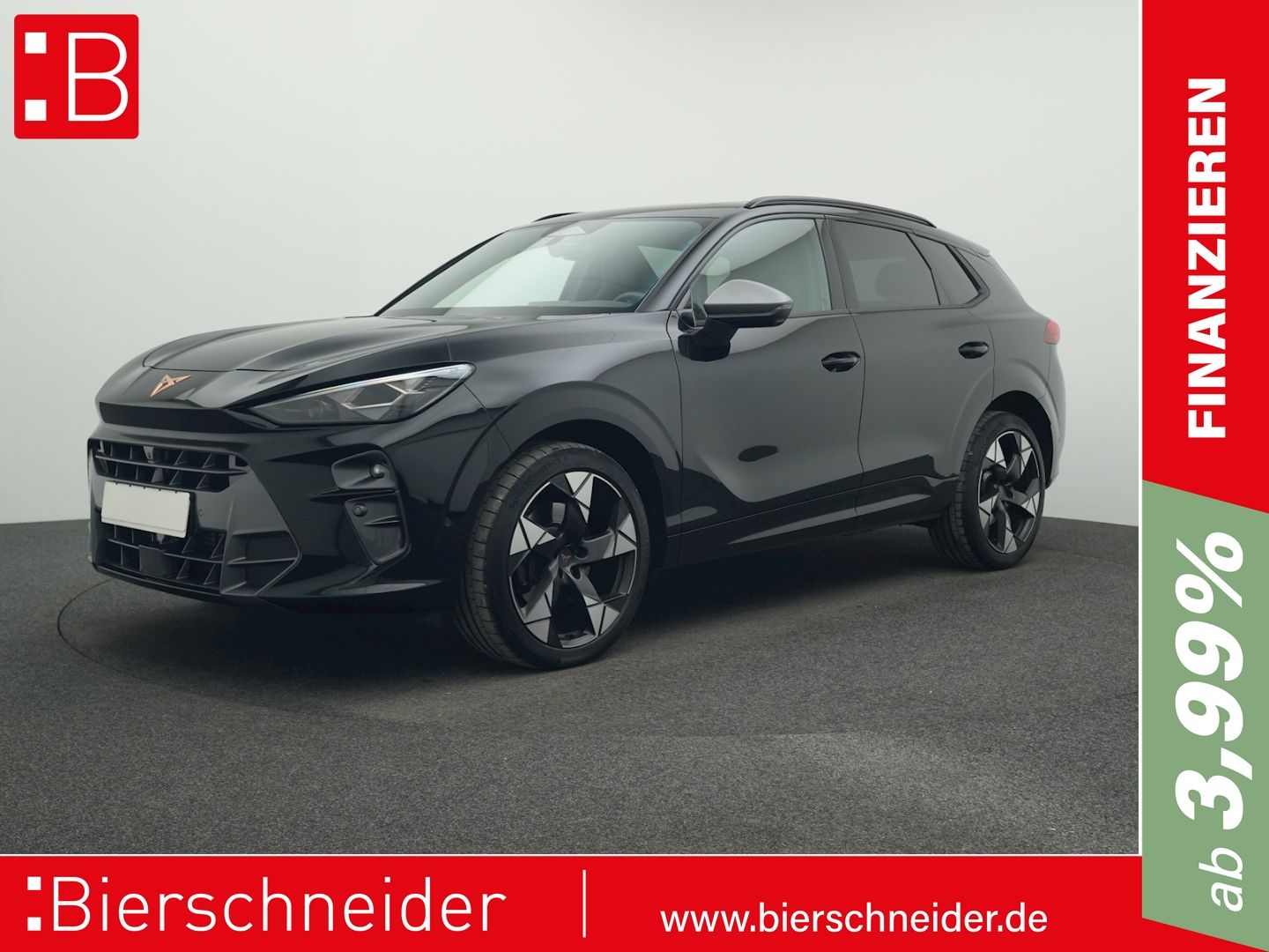 Cupra Terramar - Bild 1