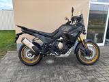 VOGE DS800X RALLY E5+ Black Knigth/ White blue - VOGE 800 Rally