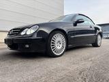 Mercedes-Benz CLK 350 Cabrio - Mercedes-Benz CLK 350: Cabrio