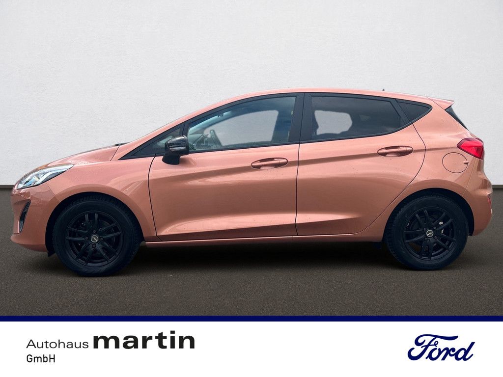 Fahrzeugabbildung Ford Fiesta 1.0 EcoBoost Cool&Connect Start/Stopp