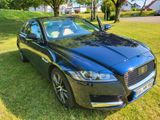Jaguar XF 25t 250PS AHK, Prestige, Automatik - Jaguar XF aus 2020