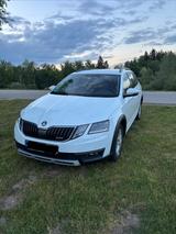 Skoda Octavia 4x4 Combi Scout - Skoda Octavia Scout mit Benzin-Antrieb