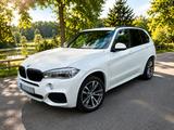 BMW X5 xDrive30d - M Sport ACC HUD Komfortsitze  - BMW X5: Xdrive30d M Sport