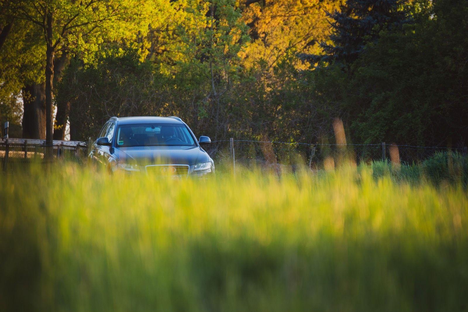 Audi A4 2009 — rear view