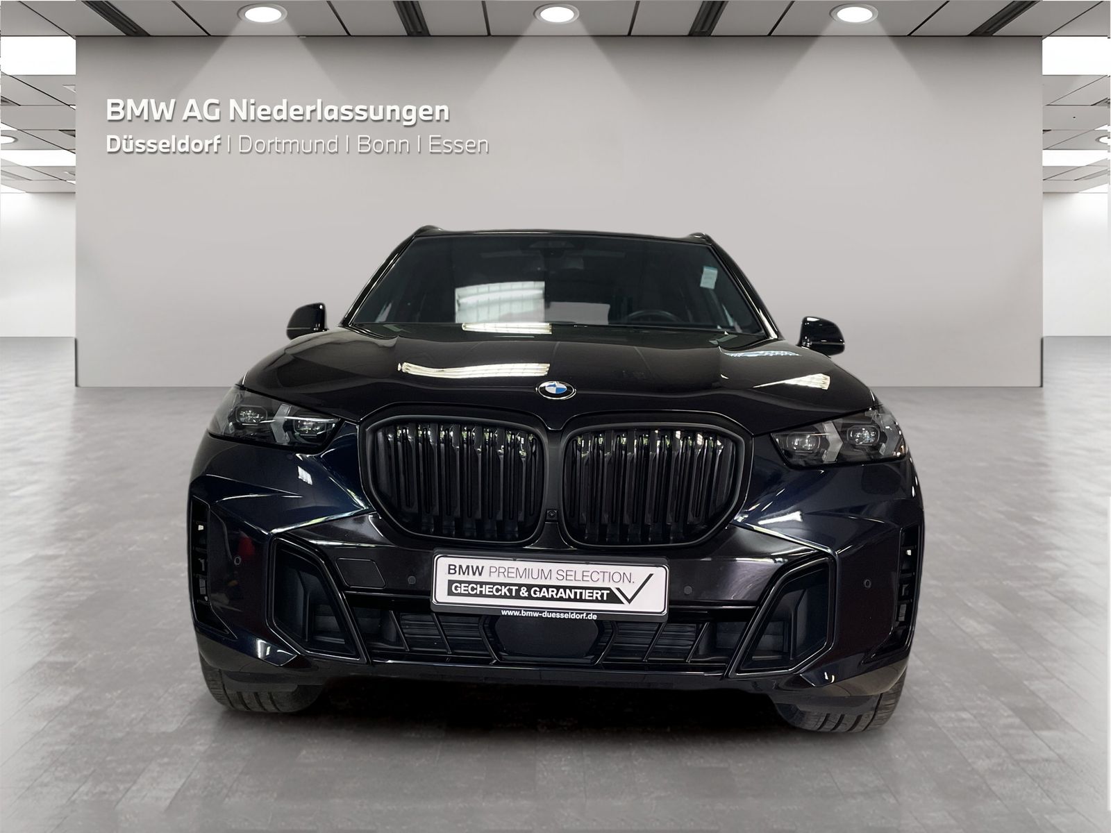 BMW X5 - Bild 8