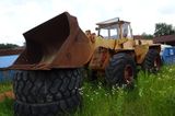 Hanomag B 14 C Radlader - Hanomag R