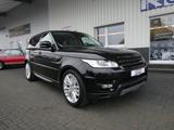 Land Rover Range Rover Sport SE, Panorama, Bi-Xenon - Land Rover Range Rover Sport: Se