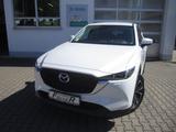 Mazda CX-5 SKYACTIV 165 Ad'vantage NAVI/HUD/360° - Mazda CX-5 in Augsburg