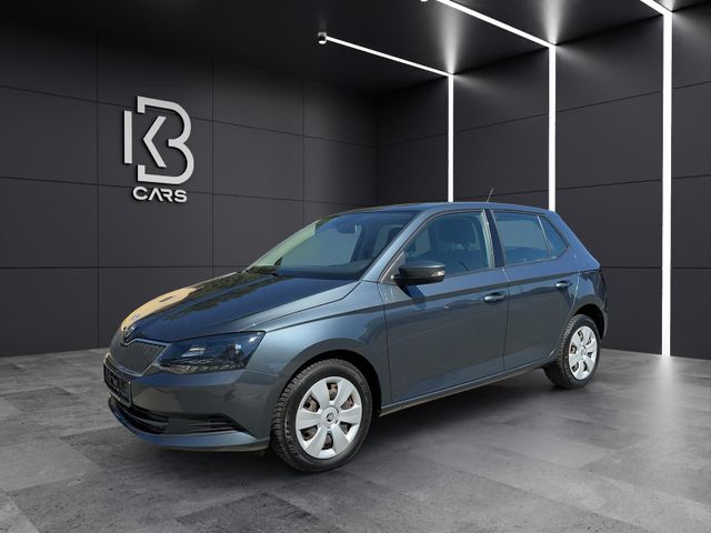 Skoda Fabia 1.2 TSI Ambition | DAB | Sitzh | PDC |