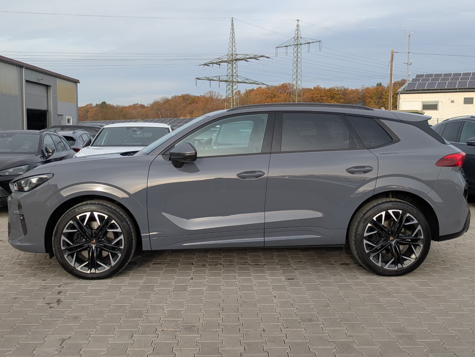 Fahrzeugabbildung CUPRA Terramar 2.0 TSI 4D VZ HUD*MATRIX*PANO*DCC*20"
