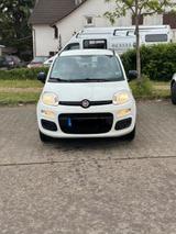Fiat Panda 2014  Sparsam & Zuverlässig  ... - Fiat Panda: Von Privat