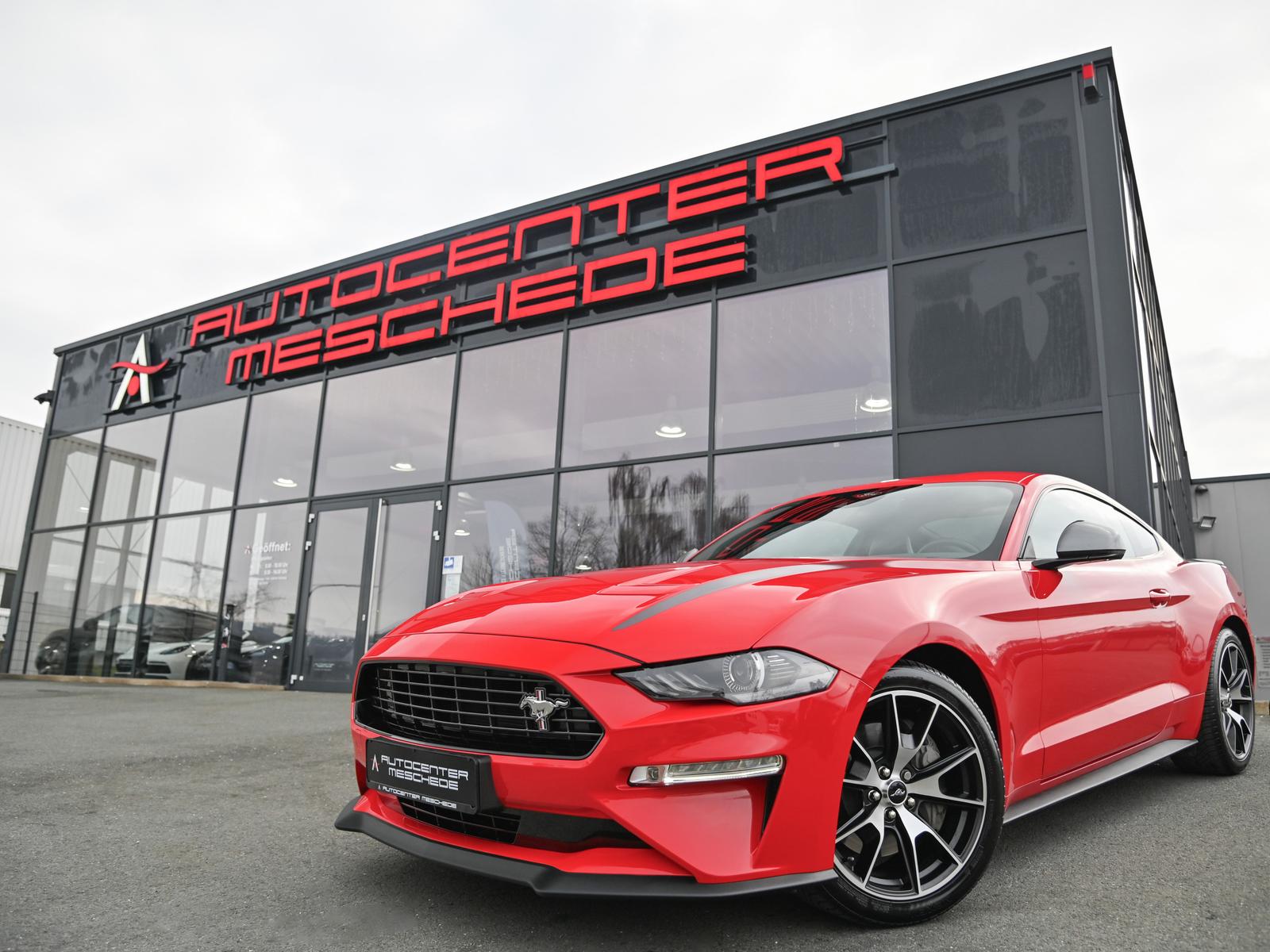 Ford Mustang 2.3 EcoBoost 55-Paket *4-Rohr Abgas.* 