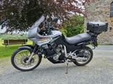 Honda Transalp 600 PD06 Tüv und Öl Neu - HONDA TRANSALP 600