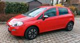 Fiat Punto Young 1.2 8V 69 PS 4/5 Türen 43... - Fiat Punto Gebrauchtwagen in München