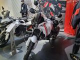 Ducati DesertX Matt Star White Silk