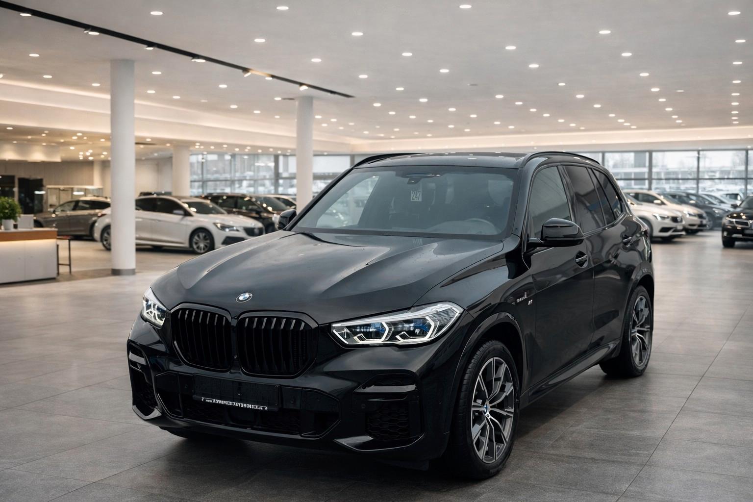 BMW X5 xDrive30d M Sport AHK Laser Leder Pakete