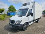 Mercedes-Benz Sprinter 519 CDI/THERMO KING500MAX/Euro6/LBW - Offers matching your search criteria