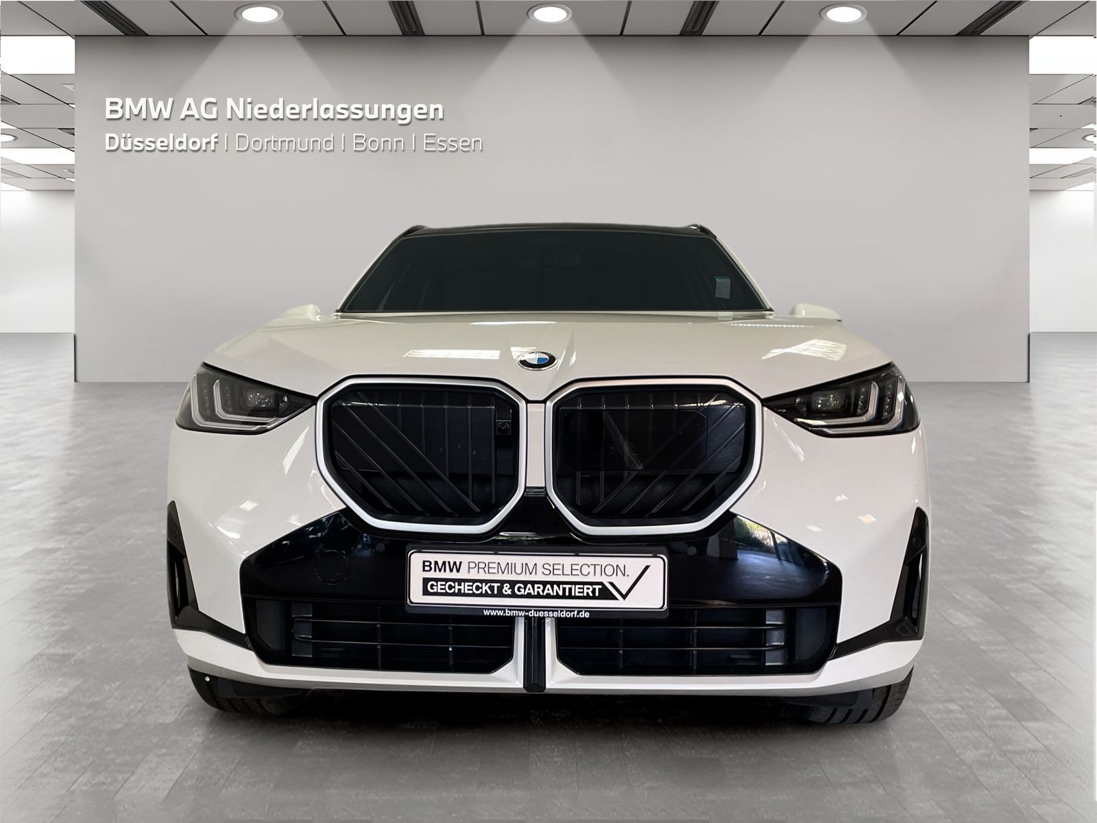 BMW X3 - Bild 8