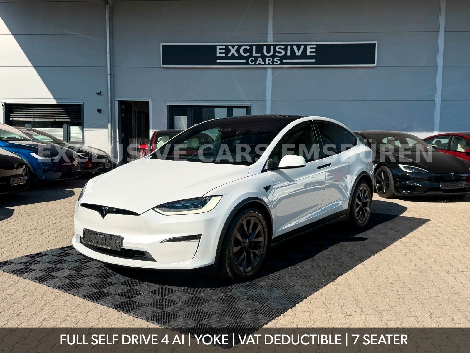 Tesla MODEL X PALLADIUM | FULL SELF DRIVE | HW4