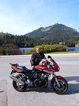 Yamaha 600 Fazer  Tüv/ASU neu, unfallfrei, Garagenfahrz - YAMAHA 1997