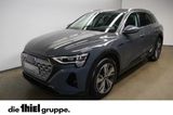 Audi Q8 50 e-tron quattro 22KW Ladegerät/Matrix/Head- - Audi Q8 aus 2023