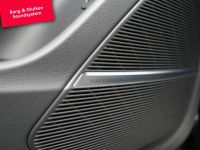 Audi SQ5 - Vorschau Bild 7