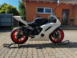 Yamaha YART R6 - RENNSPORT VON 501 BIS 750 CCM