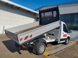 Ford Transit Pritsche 350 L2 Einzelkabine Kipper ! - Ford Transit: Kipper